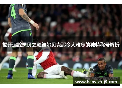 揭开追踪黑贝之谜维尔贝克那令人难忘的独特称号解析 揭开追踪黑贝之谜维尔贝克那令人难忘的独特称号解析