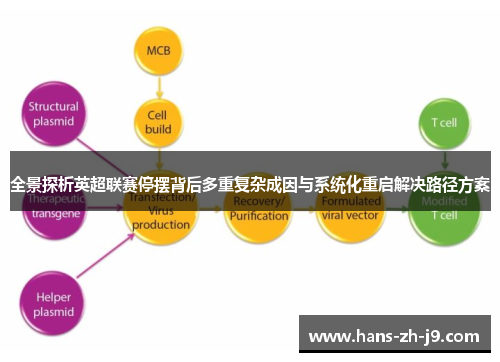 全景探析英超联赛停摆背后多重复杂成因与系统化重启解决路径方案 全景探析英超联赛停摆背后多重复杂成因与系统化重启解决路径方案