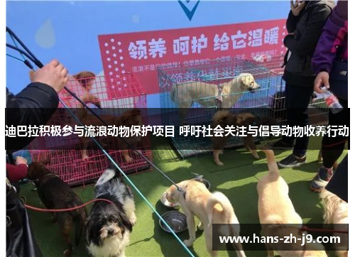 迪巴拉积极参与流浪动物保护项目 呼吁社会关注与倡导动物收养行动