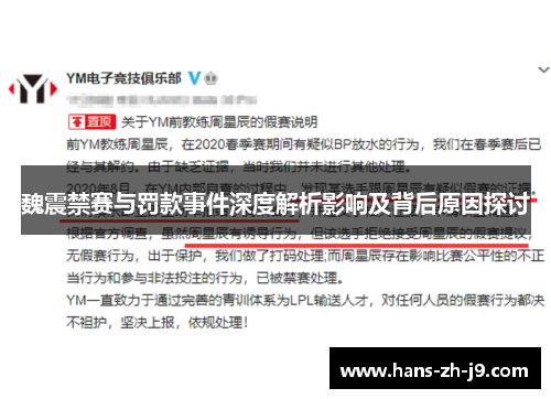 魏震禁赛与罚款事件深度解析影响及背后原因探讨 魏震禁赛与罚款事件深度解析影响及背后原因探讨