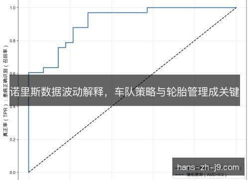 诺里斯数据波动解释，车队策略与轮胎管理成关键